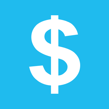 Budget Icon