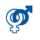 Participation des femmes